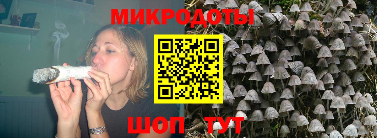 Коряжма  Галлюциногенные грибы прущие грибы  Вход с VPN 