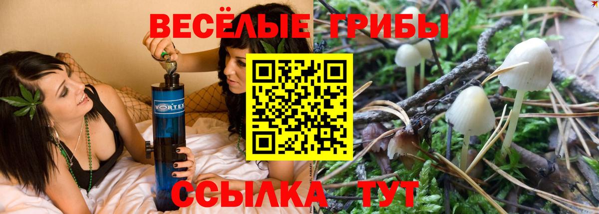 Псилоцибиновые грибы мухоморы Коряжма